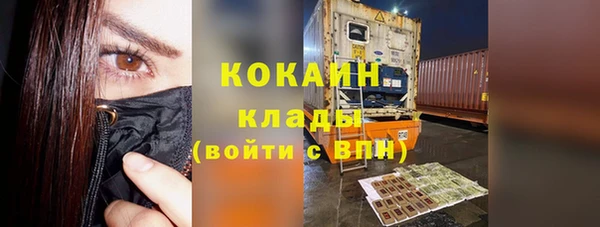 дживик Арсеньев
