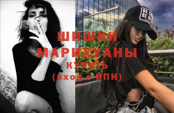 индика Алзамай