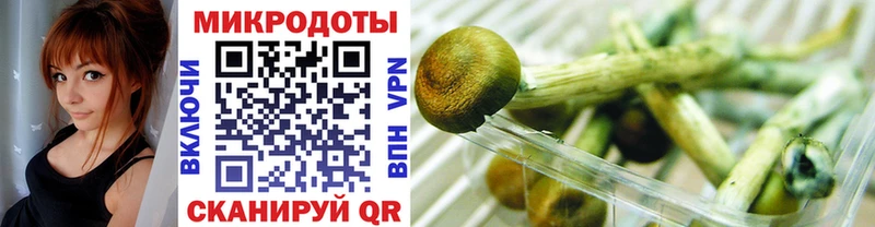 Купить  Туймазы  Галлюциногенные грибы GOLDEN TEACHER 